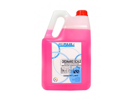 Ordinario Scale Fiorito Detergente per Condomini 5 lt