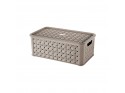 Scatola arianna talpa 4lt