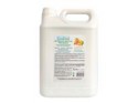 Stileco sgrassatore agrumato 5lt