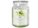 Candela profumata Sparkling Lime