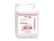 Wexor professional elisir pavimenti armonia rosa 5lt